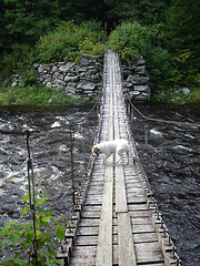 Image showing Suspension Bridge 5