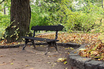 Image showing bench in park