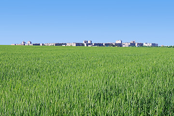 Image showing town behind wheat field