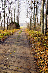 Image showing Gravel road, abandoned house and autumn trees.