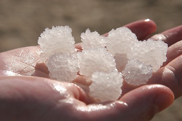 Image showing The big crystal of salt of Dead Sea