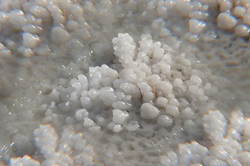 Image showing The big crystal of salt of Dead Sea