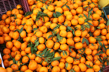 Image showing Oranges