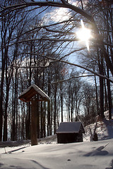 Image showing Snow covered forest, Sljeme, Zagreb, Croatia