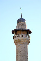 Image showing raven over a minaret