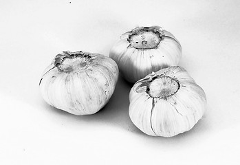 Image showing garlic 