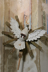 Image showing Holy Spirit Bird