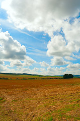 Image showing Harvested Field