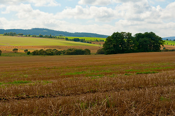 Image showing Rural Landscape