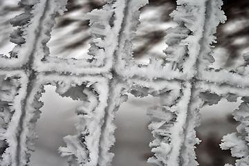 Image showing Rime.