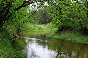 Image showing riverside