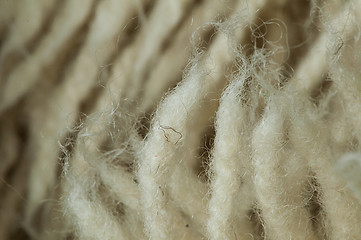 Image showing Wool fibers