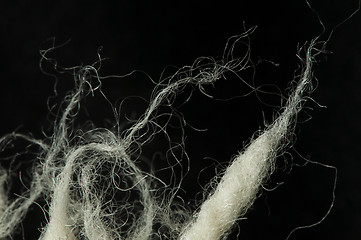Image showing Wool fibers