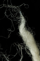 Image showing Wool fibers