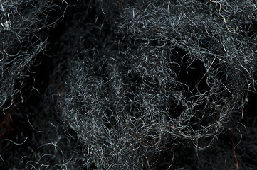 Image showing Wool fibers