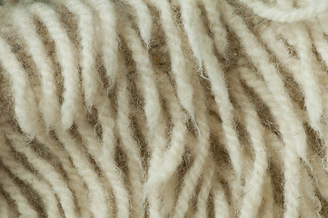 Image showing Wool fibers