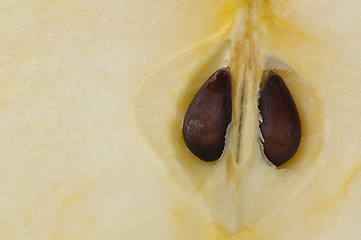 Image showing Cut apple closeup background