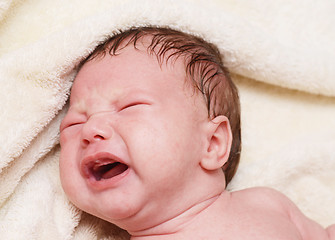 Image showing crying baby