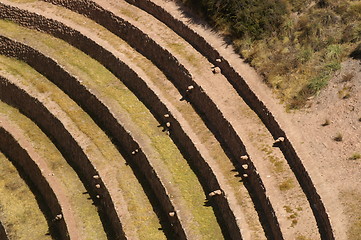 Image showing Inca ruins