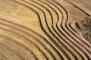 Image showing Inca ruins