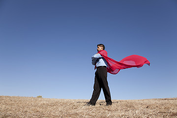 Image showing Businessman hero