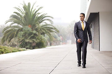 Image showing Confident businessman walking