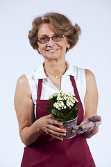 Image showing Senior woman planting flowers