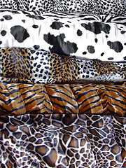 Image showing Animal prints assortment