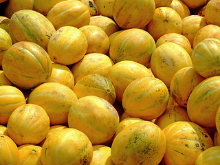 Image showing Bunch of melons