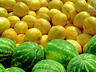 Image showing Pile of melons