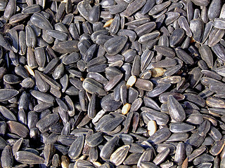 Image showing Sunflower seeds