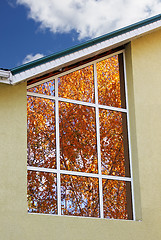 Image showing autumn in windows