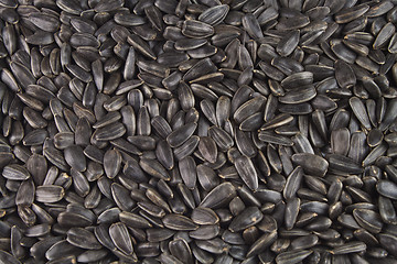 Image showing Seeds of a sunflower