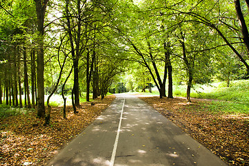 Image showing Road to wood