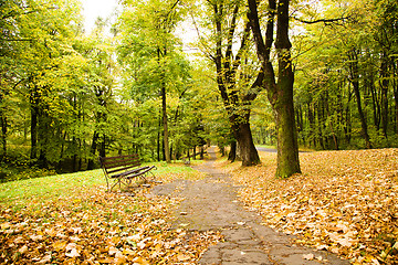 Image showing Benches in park