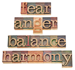 Image showing fear, anger, balance, harmony