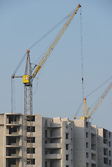 Image showing building cranes 