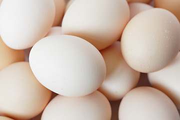 Image showing eggs