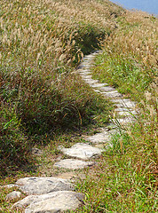 Image showing mountain path for hiking