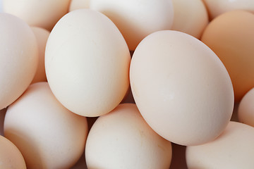 Image showing eggs