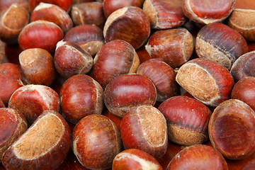 Image showing chestnut