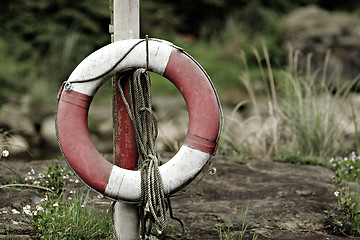 Image showing Lifebuoy