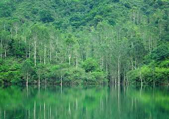 Image showing lake with wood