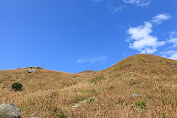Image showing summer landscape in the mountain
