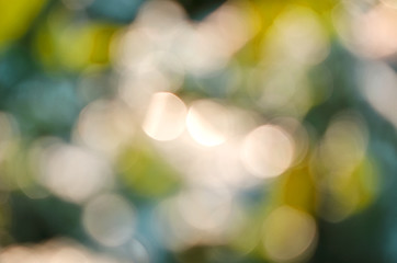 Image showing Abstract blur nature background.