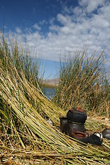 Image showing Titicaca lake 