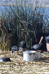 Image showing Titicaca lake 