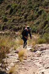 Image showing Walking in Andes