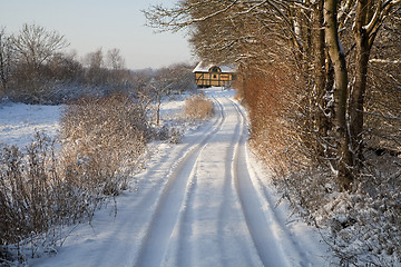 Image showing Winter in Denmark