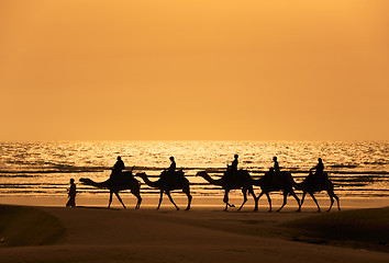 Image showing A silhoutte of a dromedary and Tourists